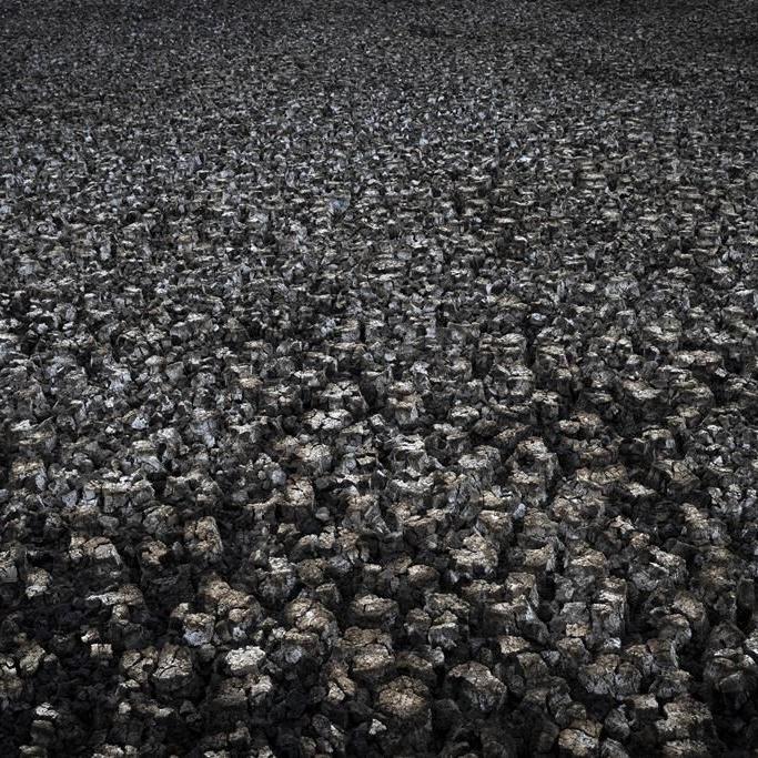 Spanish PM, EU slam irrigation plan for drought-hit wetlands